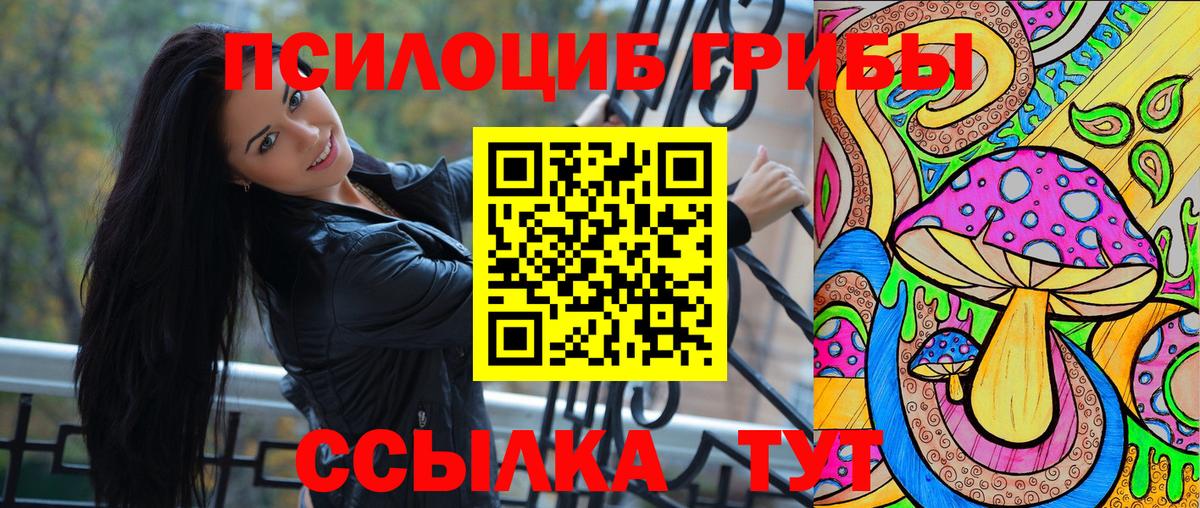 Галлюциногенные грибы мицелий Кингисепп