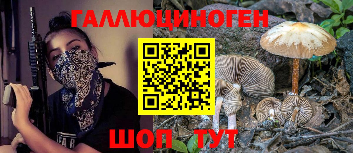 Альфа ПВП Кингисепп