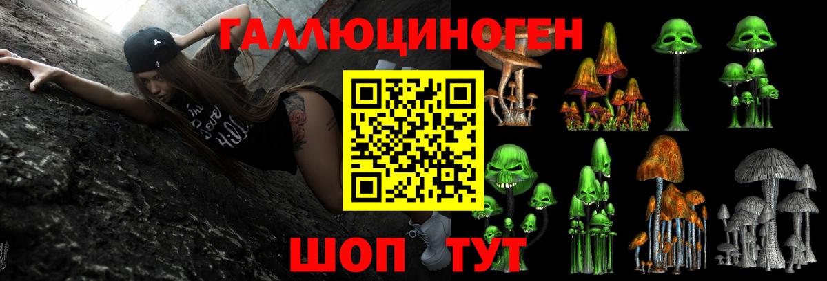 Псилоцибиновые грибы Psilocybine cubensis  Галлюциногенные грибы Psilocybe  Вход с VPN  Кингисепп 